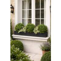 Read Evergreen Direct Reviews